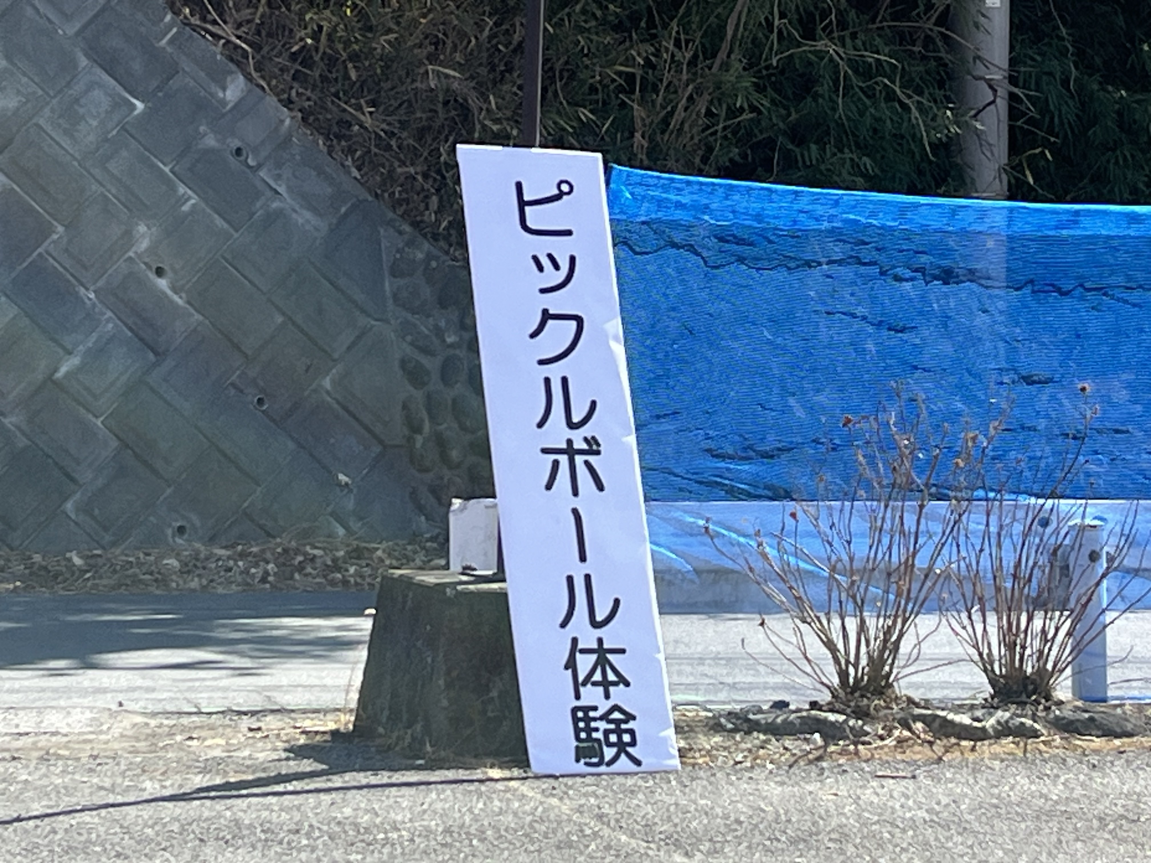 最新情報⑧⑧